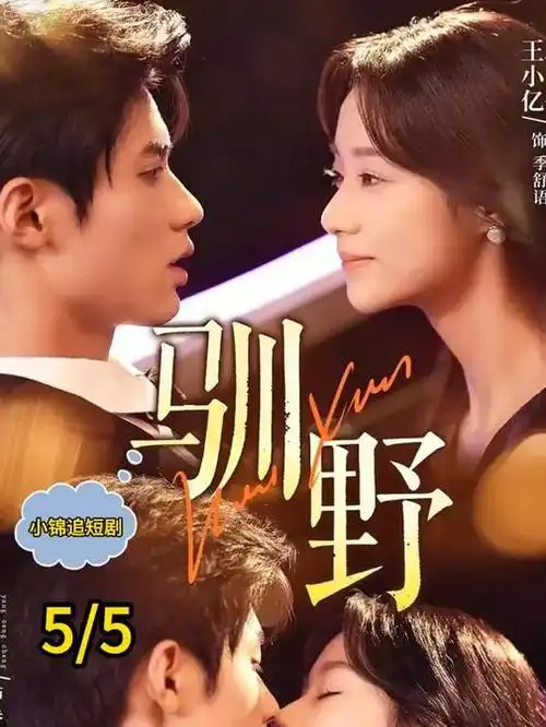 午夜短剧第九通电话海报